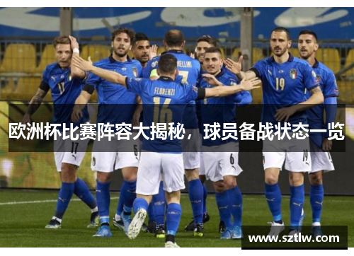 欧洲杯比赛阵容大揭秘，球员备战状态一览