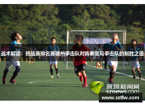 战术解读：挑战赛排名赛德州拳击队对阵秦皇岛拳击队的制胜之道